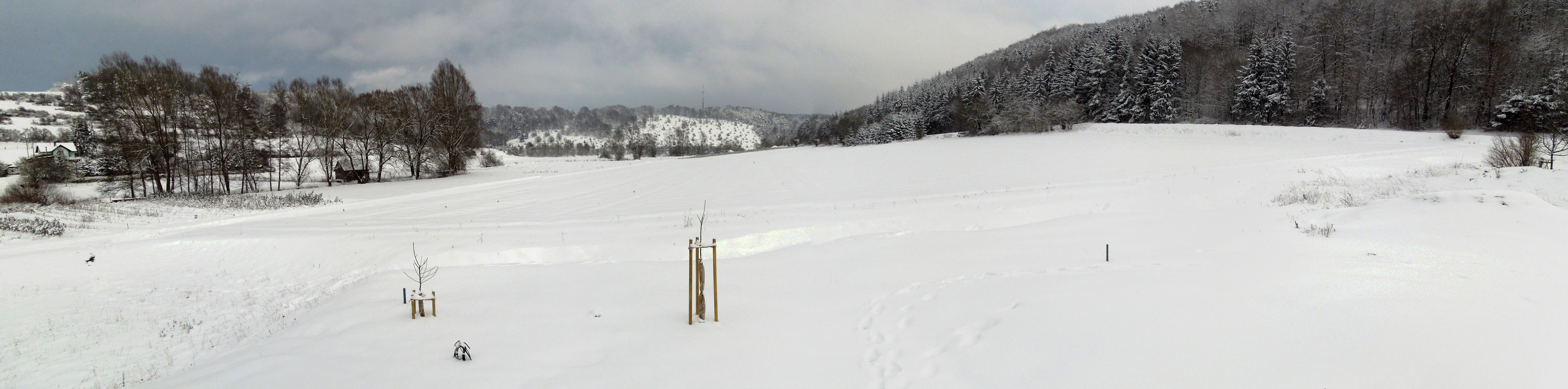 Blick über ein Feld