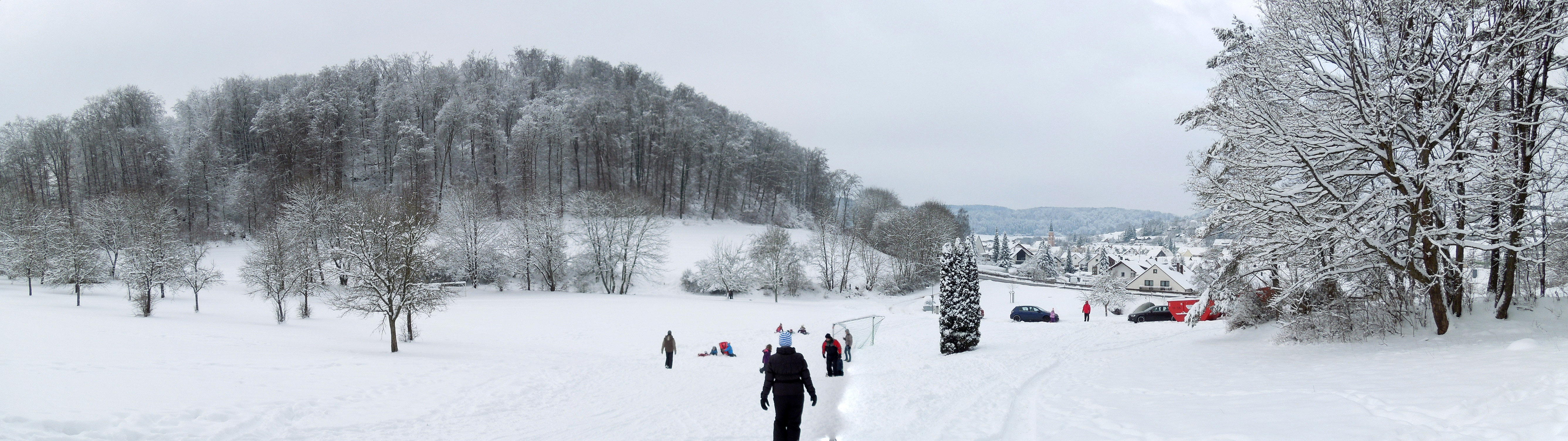 Rodelhang mit Menschen und Wald im Hintergrund